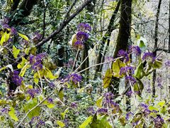 -燕子河大峡谷天坑仙境