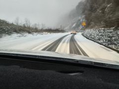 -武陵山森林公园