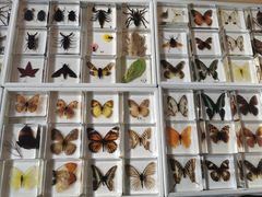 -中国农科院国家农业科技展示园