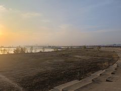 -合肥滨湖国家森林公园