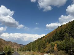 -苏木山森林公园