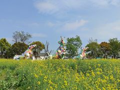 -同里国家湿地公园