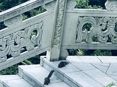 -重庆云阳龙缸景区