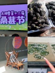 点击看大图 -太湖雪蚕桑文化园