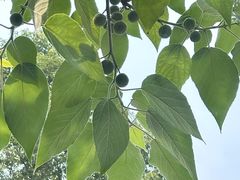 -老杨砂锅鱼庄