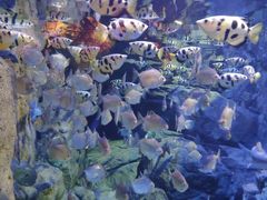 -成都浩海立方海洋公园