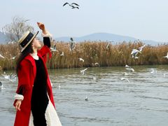 -苏州吴中太湖旅游区