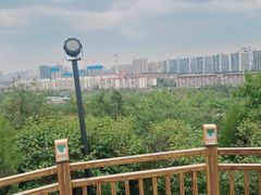 -南翠屏公园