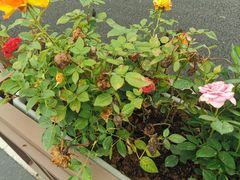 -东钱湖旅游度假区