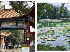 -翠湖公园