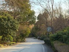 -方山风景区定林寺