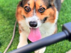 -本来不该有·鲜果咖啡(大梅沙店)