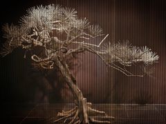 -璞瑄酒店大堂吧