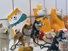 -柴务处·柴犬主题狗咖