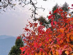 -香山公园