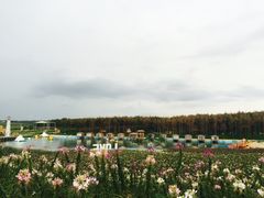 -北纬44度·金珠花海休闲农业旅游景区