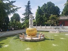 -泰山风景名胜区-普照寺