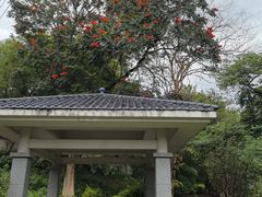 -云溪植物园