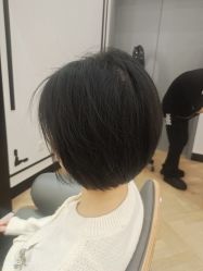 -YESIDO椰岛造型