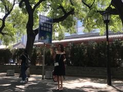 -北京国子监胡同