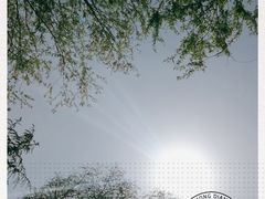 -济南植物园