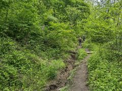 -秦岭风景区