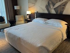 -国家会议中心大酒店