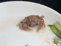 -原柳滩高台阶涮羊肉