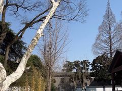 -南京中国近代史遗址博物馆(南京总统府)