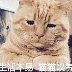 -AP•澳派设计•烫发•染发•漂发