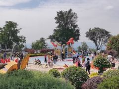 -铁山坪森林公园