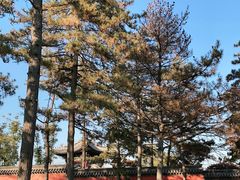-晋祠公园