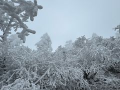 -峨眉山风景名胜区