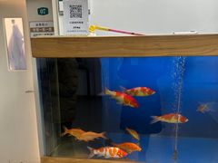 -北京西鹤年堂中医医院