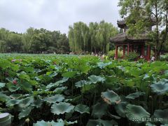 -莲池书院博物馆