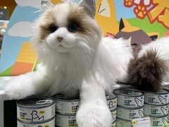 -KKV(深圳宏发大仟里店)