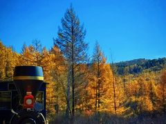 -莫尔道嘎国家森林公园