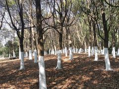 -艾溪湖湿地公园