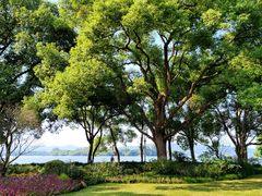 -浙江西子宾馆·瑶园咖啡厅