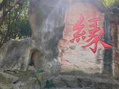 -杭州黄龙洞