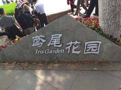 -圩墩遗址公园