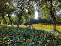 -长白岛森林公园