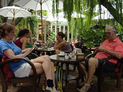 -Fern Forest Cafe