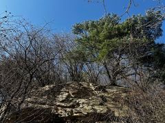-王顺山国家森林公园