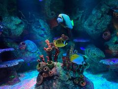 -沈阳海洋探索中心