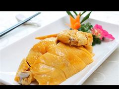 -老绍兴养和饭店(向阳不夜城店)