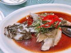 清蒸多宝鱼-金米箩大酒店(五角场店)