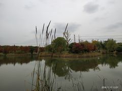 -梁鸿国家湿地公园