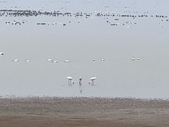 -鄱阳湖国家湿地公园