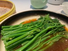 丝瓜尖-松鹤楼·非遗·苏帮菜(融科店)